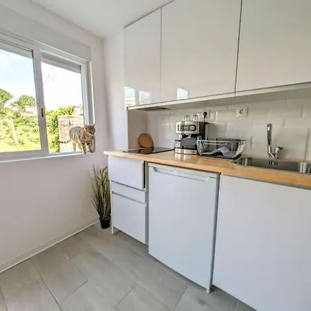 Estudio Isabel - B *